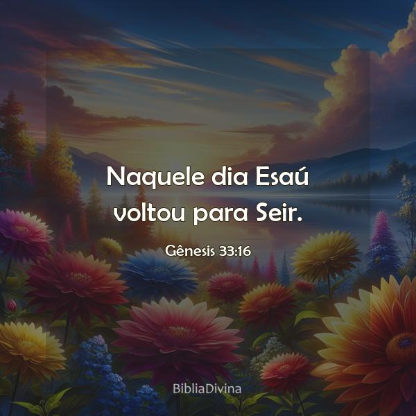 Gênesis 33:16