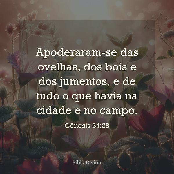 Gênesis 34:28