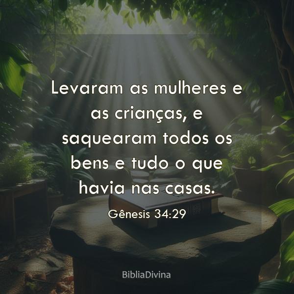 Gênesis 34:29