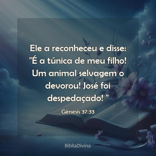 Gênesis 37:33