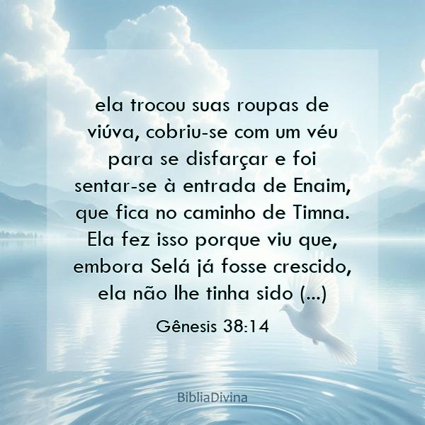 Gênesis 38:14