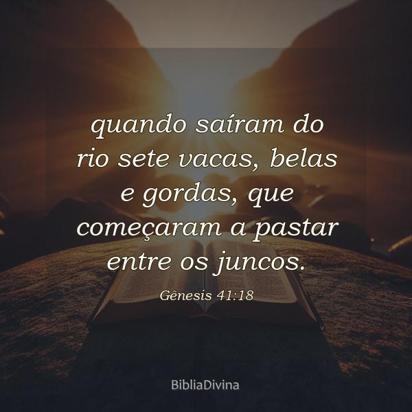 Gênesis 41:18