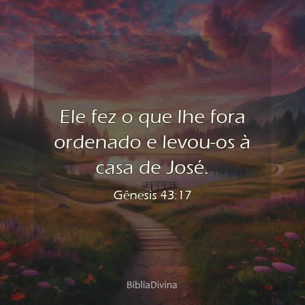 Gênesis 43:17