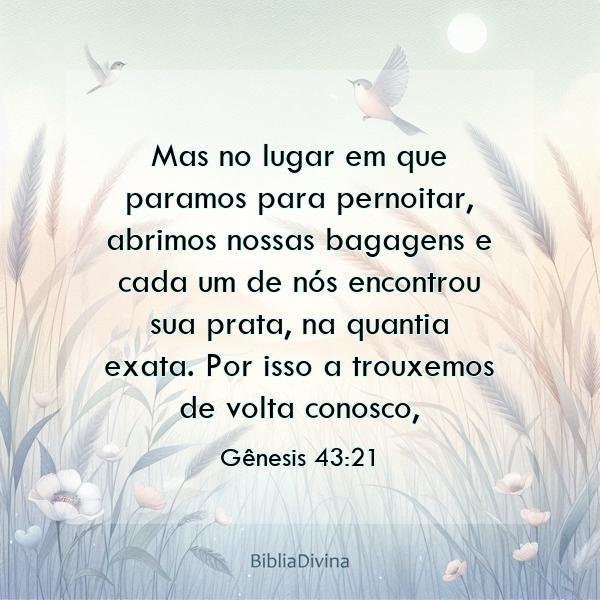 Gênesis 43:21