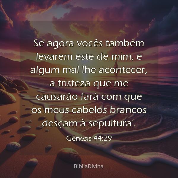 Gênesis 44:29