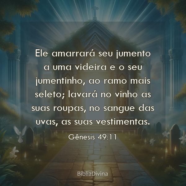 Gênesis 49:11