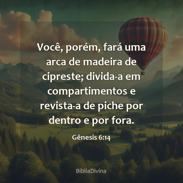 Gênesis 6:14