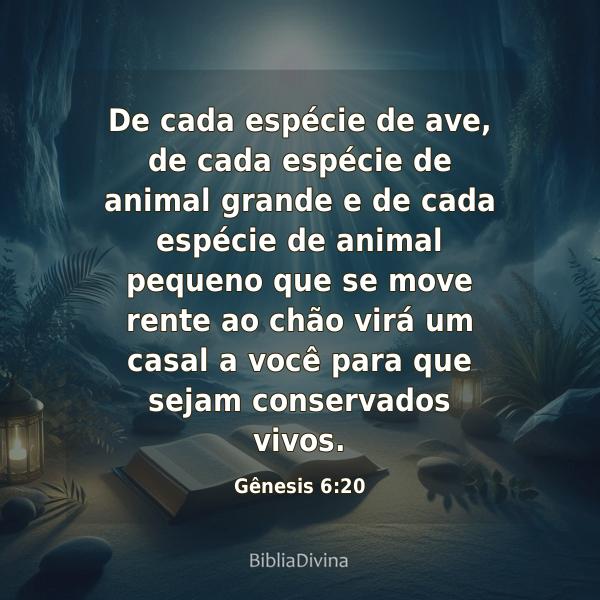 Gênesis 6:20