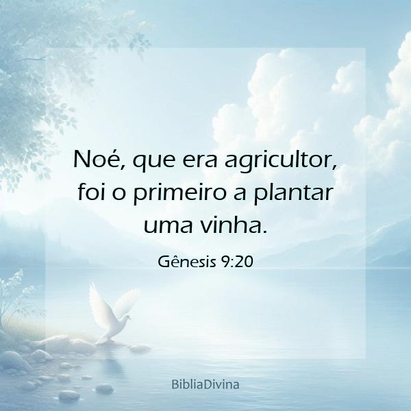 Gênesis 9:20