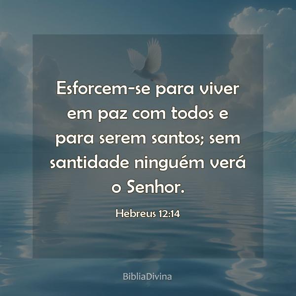 Hebreus 12:14