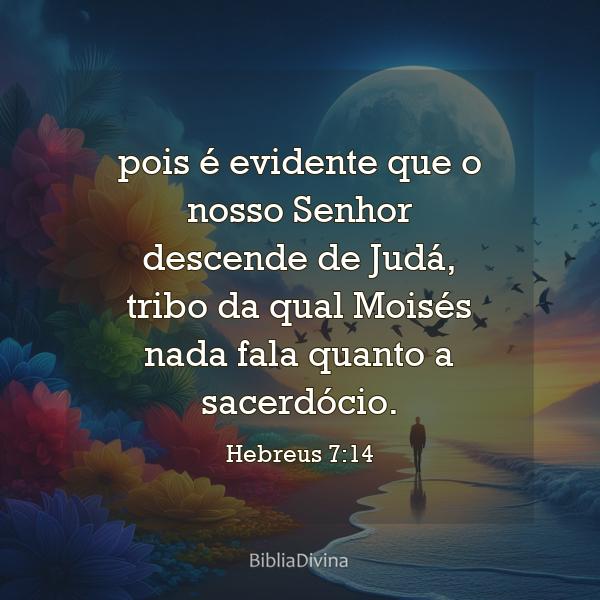 Hebreus 7:14