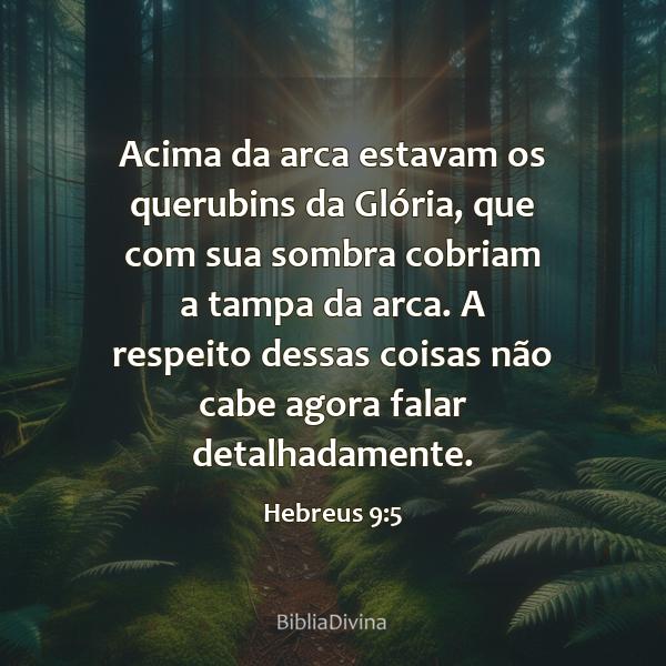 Hebreus 9:5