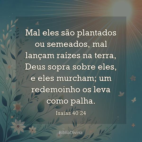 Isaías 40:24