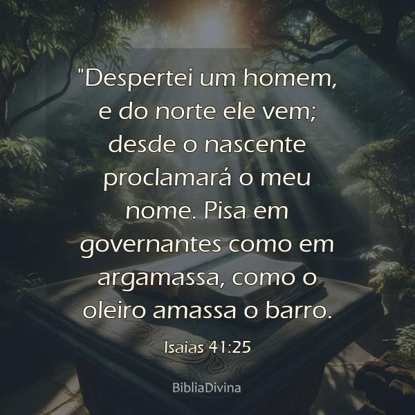 Isaías 41:25