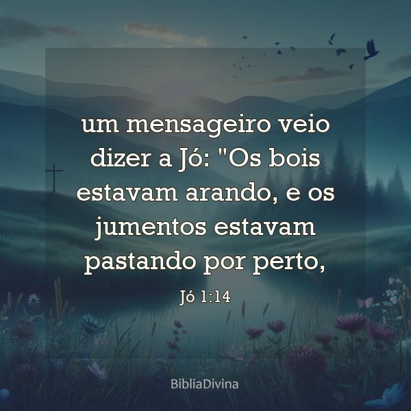 Jó 1:14