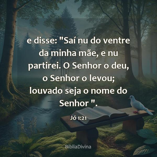 Jó 1:21