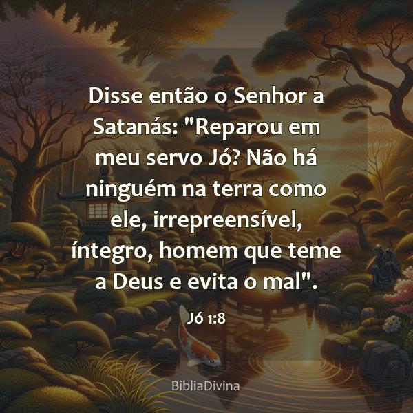 Jó 1:8