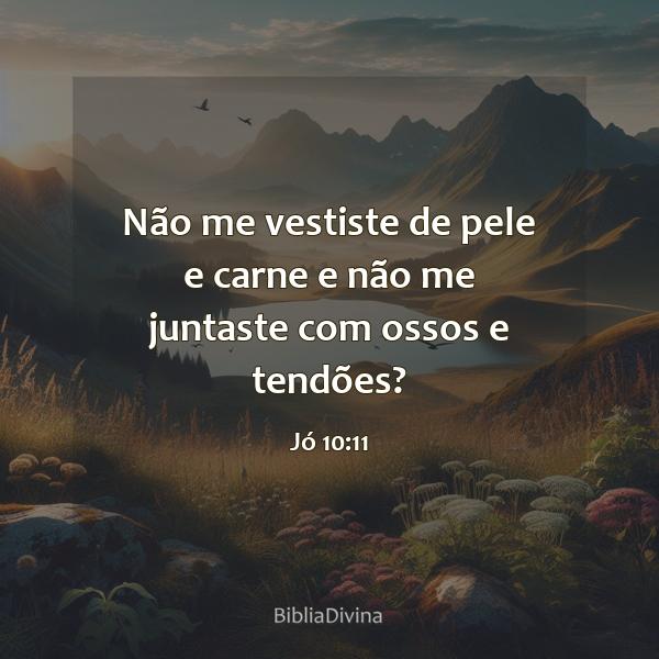 Jó 10:11