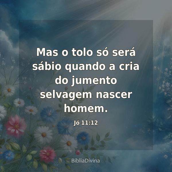 Jó 11:12