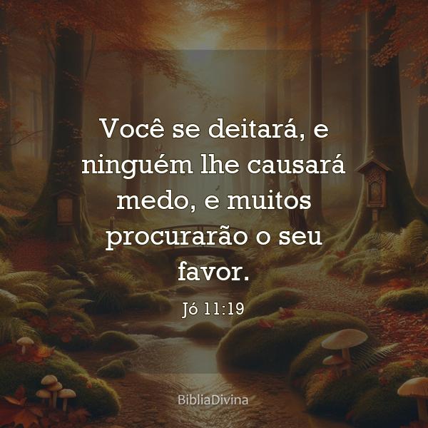 Jó 11:19