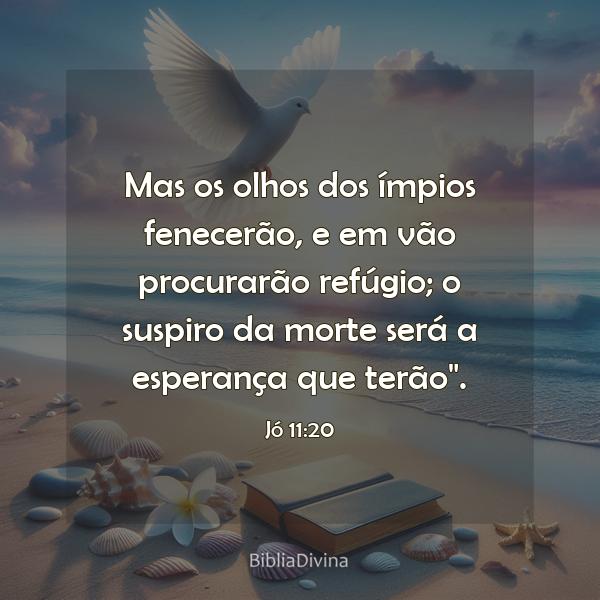 Jó 11:20