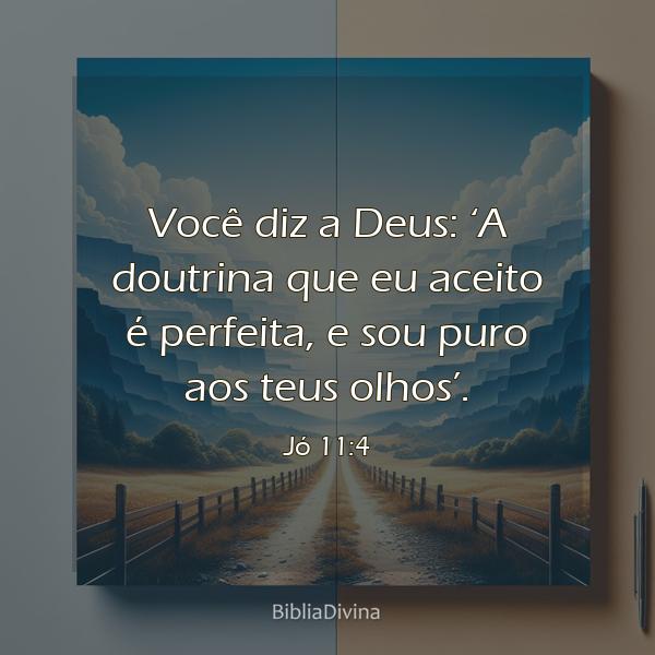 Jó 11:4