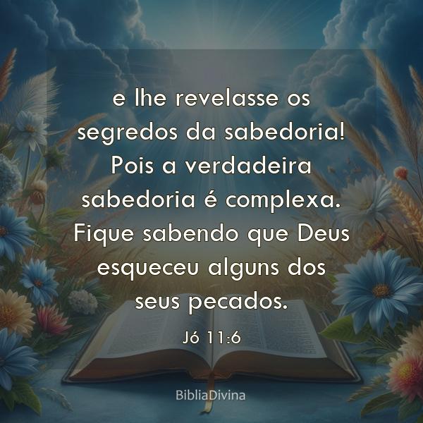 Jó 11:6