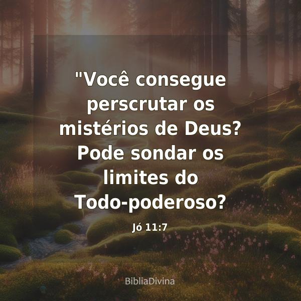 Jó 11:7