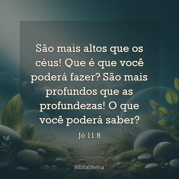 Jó 11:8