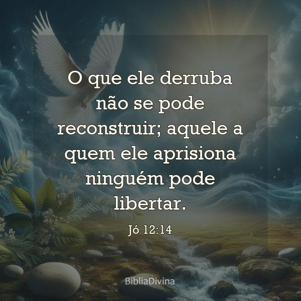 Jó 12:14