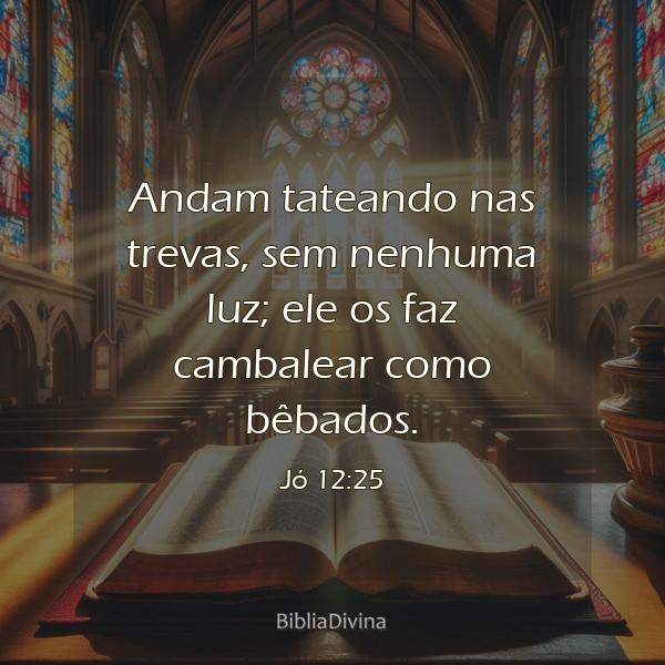 Jó 12:25