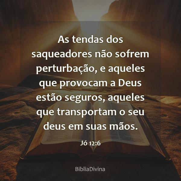 Jó 12:6