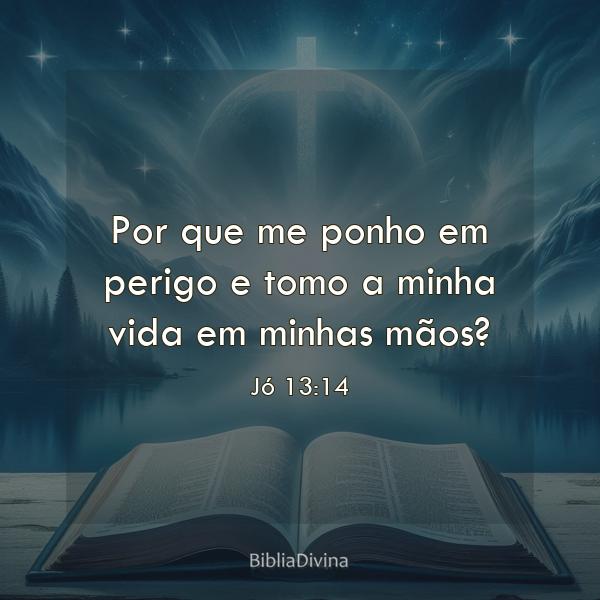 Jó 13:14