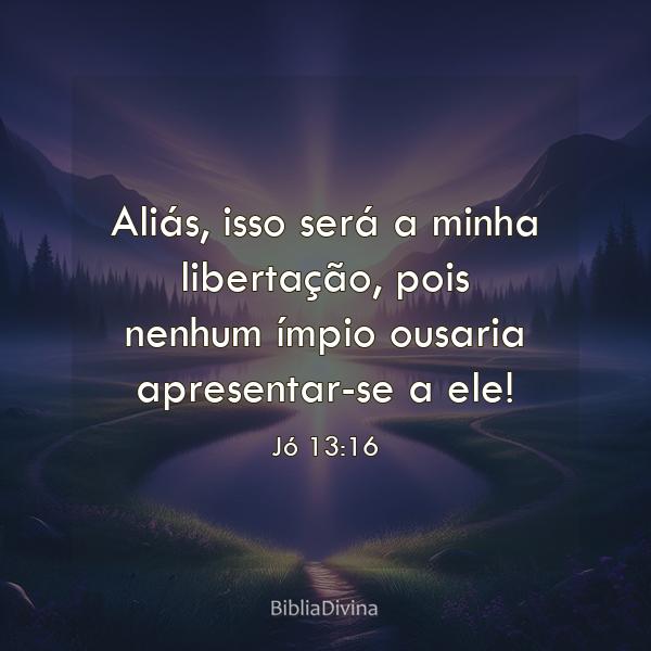 Jó 13:16