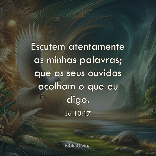 Jó 13:17