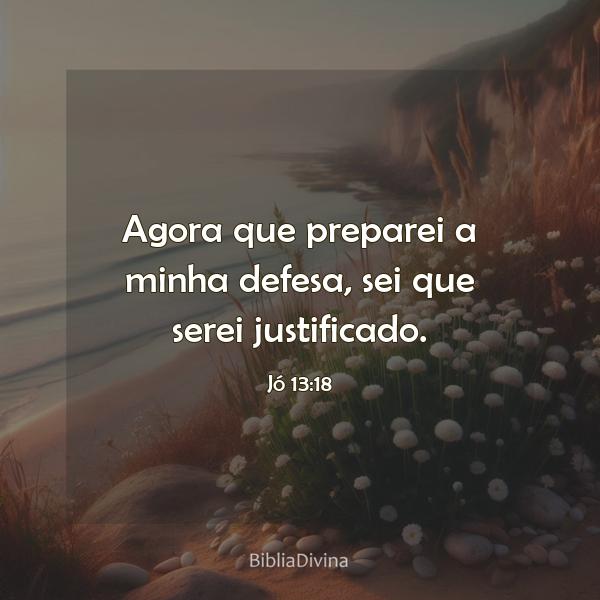 Jó 13:18