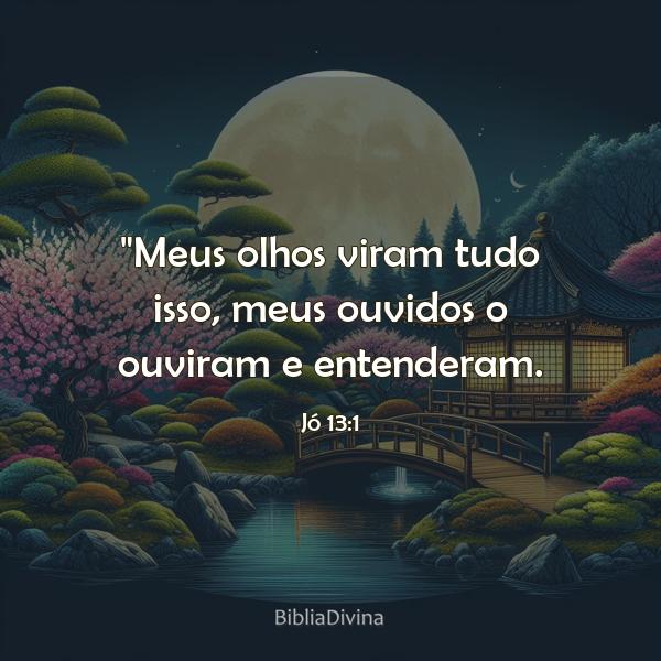 Jó 13:1