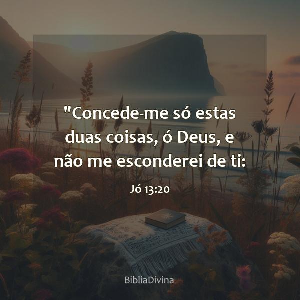 Jó 13:20