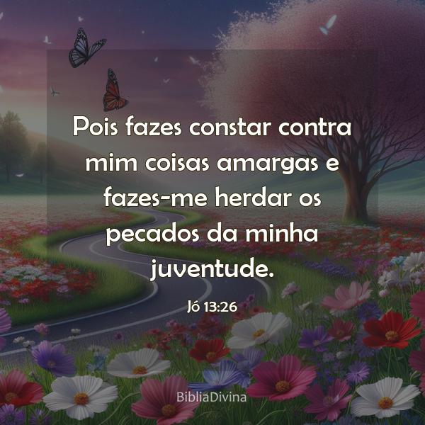 Jó 13:26