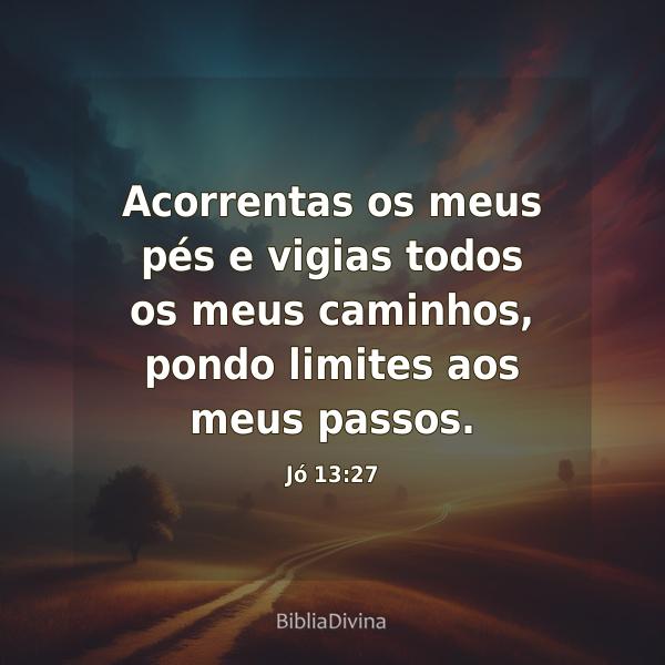 Jó 13:27