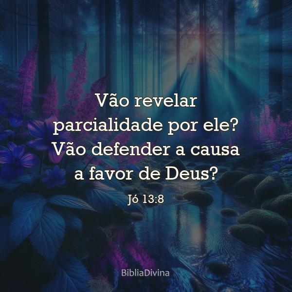 Jó 13:8