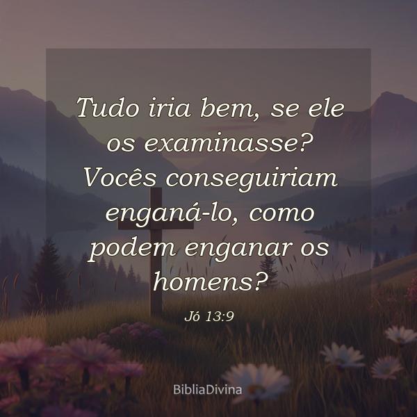 Jó 13:9