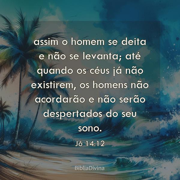 Jó 14:12