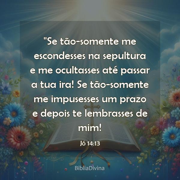 Jó 14:13