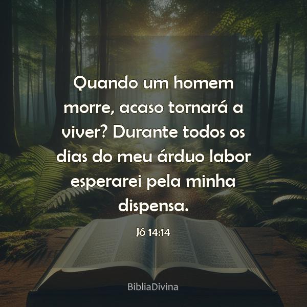 Jó 14:14