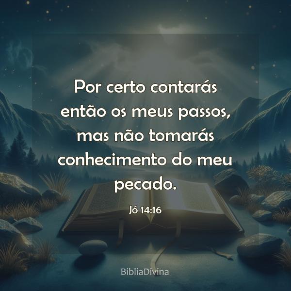 Jó 14:16