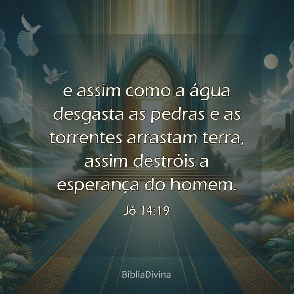 Jó 14:19