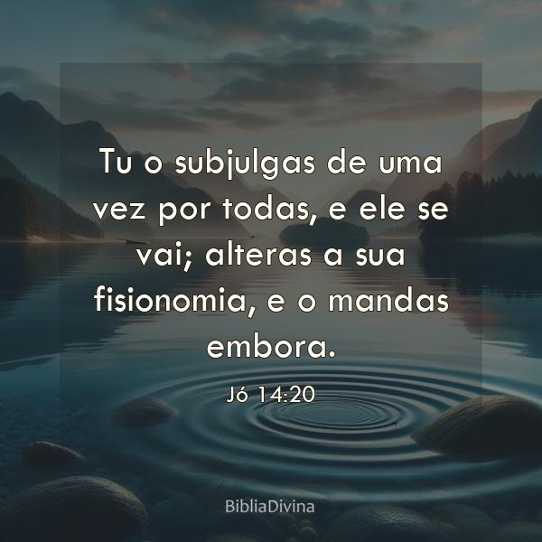 Jó 14:20