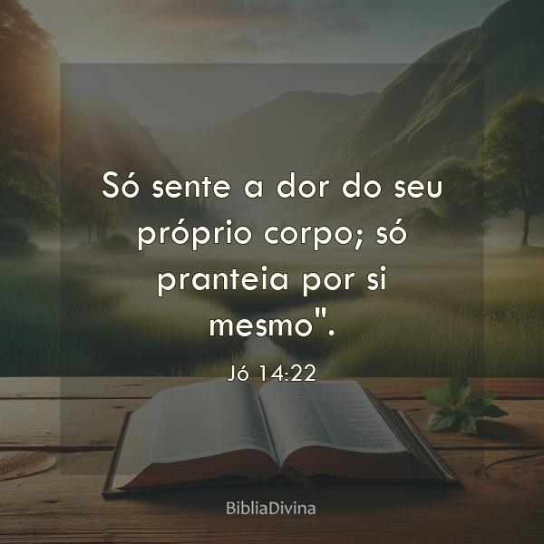 Jó 14:22