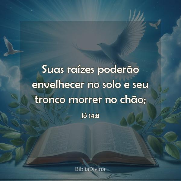 Jó 14:8